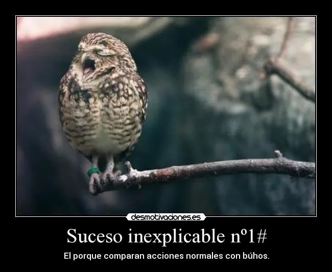 Carteles de Hush Pag. 9 | Desmotivaciones