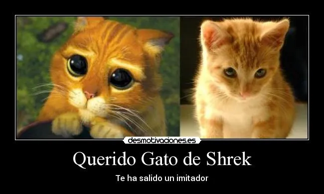 Gatito de shrek con frases - Imagui