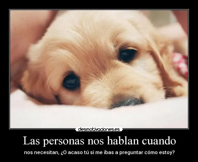 Carteles de Animo Pag. 152 | Desmotivaciones Carteles de Animo Pag. 152 | Desmotivaciones