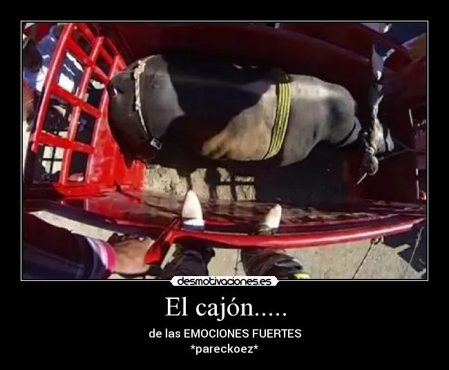 Carteles de Jaripeo | Desmotivaciones