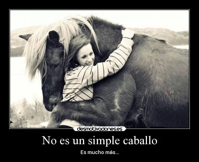 Carteles de Jinetes | Desmotivaciones
