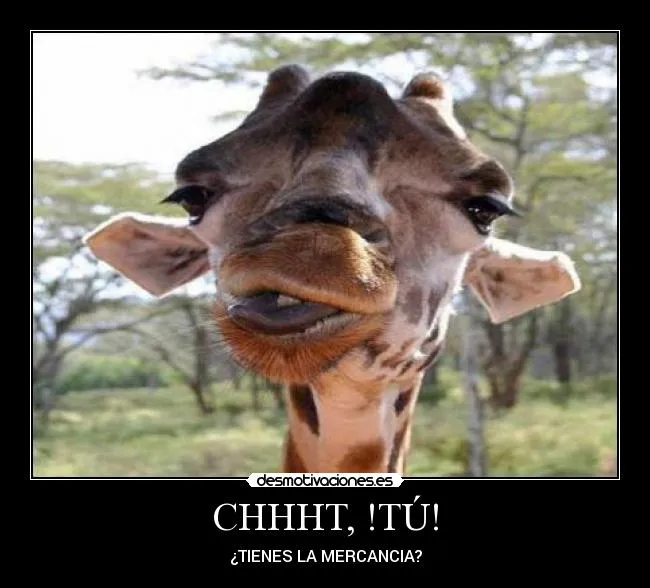 Carteles de Jirafa Pag. 5 | Desmotivaciones Carteles de Jirafa Pag. 5 | Desmotivaciones