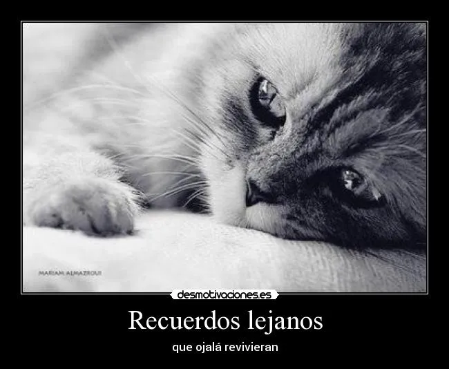 Carteles de Lejanas | Desmotivaciones