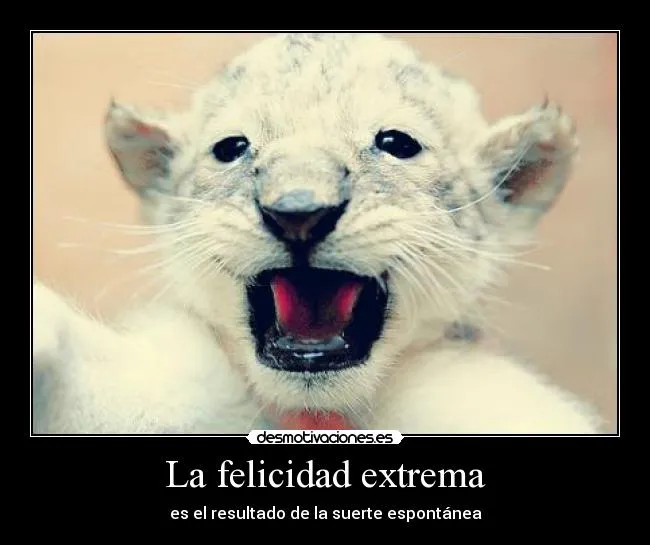 Carteles de Leoncito Pag. 10 | Desmotivaciones