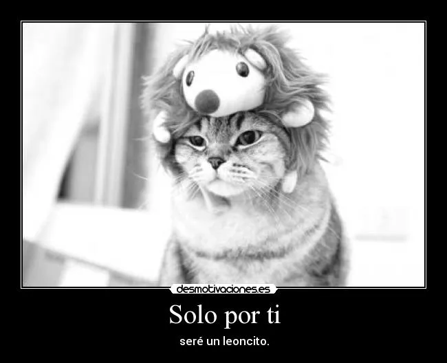 Carteles de Leoncito Pag. 2 | Desmotivaciones