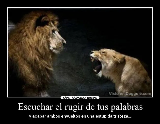 Frases sobre leones - Imagui