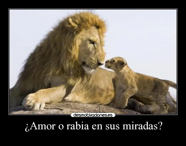 Carteles de Leones Pag. 19 | Desmotivaciones Carteles de Leones Pag. 19 | Desmotivaciones