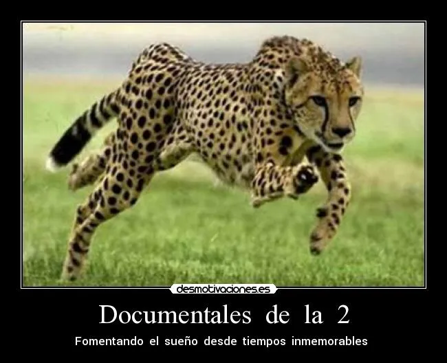 Carteles de Leopardo Pag. 14 | Desmotivaciones