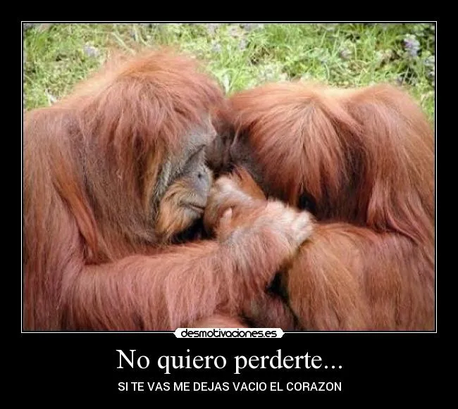 No quiero perderte... | Desmotivaciones