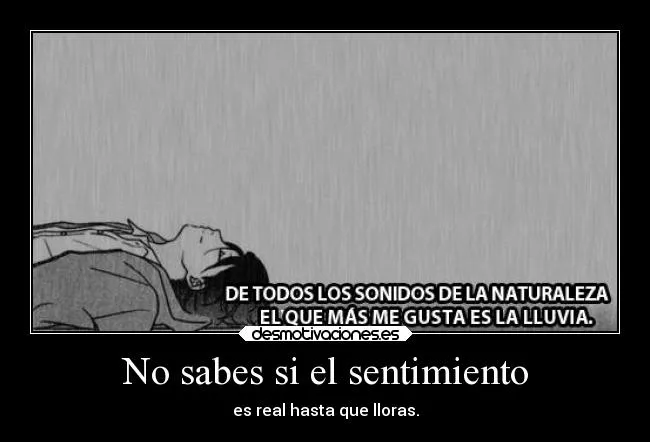 Carteles de Lloras | Desmotivaciones