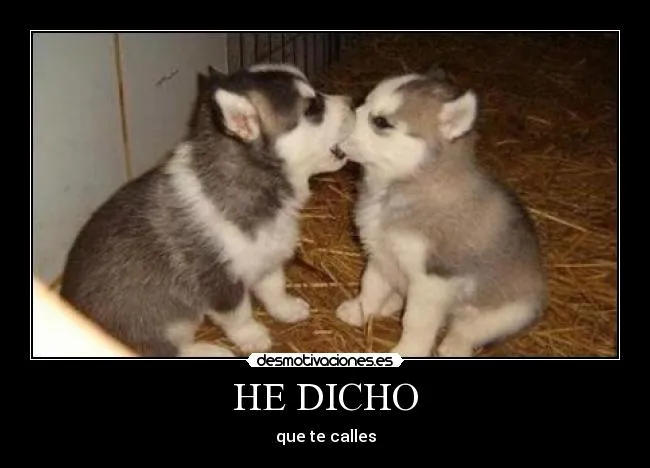 Carteles de Lobitos Pag. 4 | Desmotivaciones