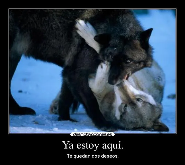 Carteles de Lobitos Pag. 7 | Desmotivaciones