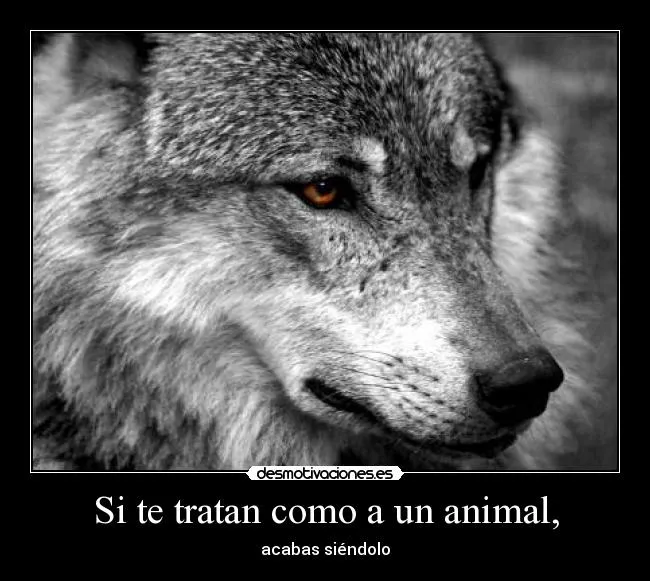 Carteles de Lobo Pag. 14 | Desmotivaciones