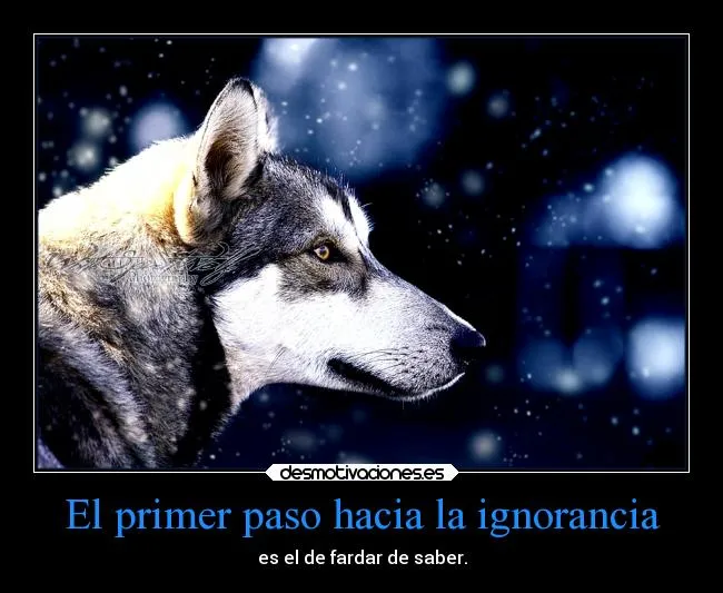 Fotos de lobos con frases - Imagui