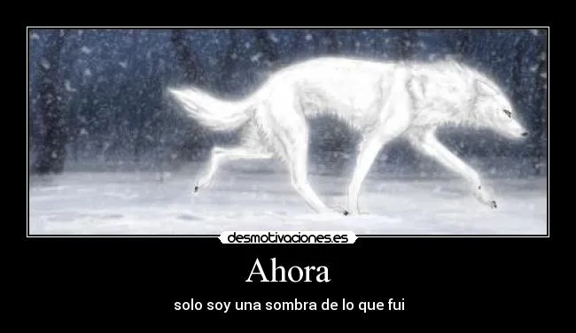 Carteles de Lobo Pag. 94 | Desmotivaciones