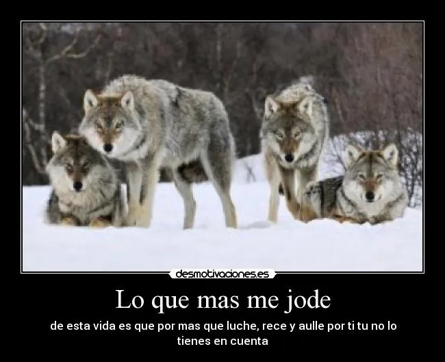 Carteles de Lobos Pag. 39 | Desmotivaciones Carteles de Lobos Pag. 39 | Desmotivaciones