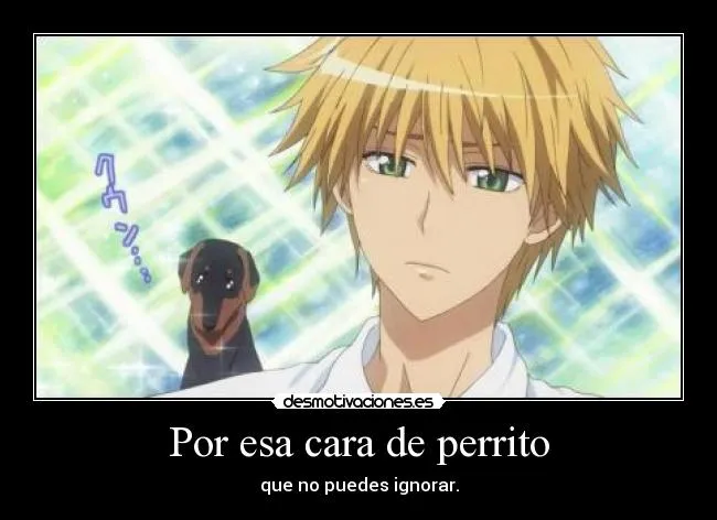 Por esa cara de perrito | Desmotivaciones