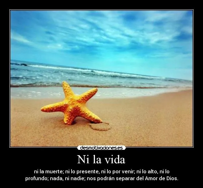 Carteles de Maite Pag. 31 | Desmotivaciones Carteles de Maite Pag. 31 | Desmotivaciones