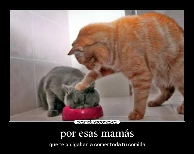 Carteles de Mamas Pag. 2 | Desmotivaciones