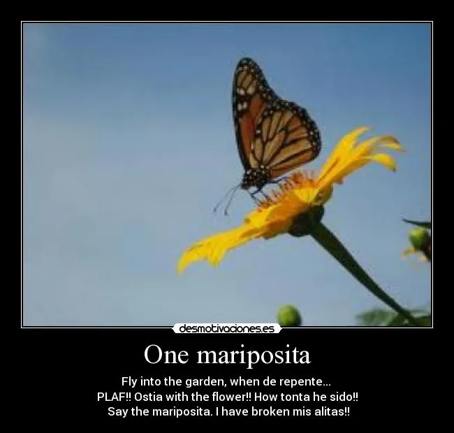 Carteles de Mariposita | Desmotivaciones