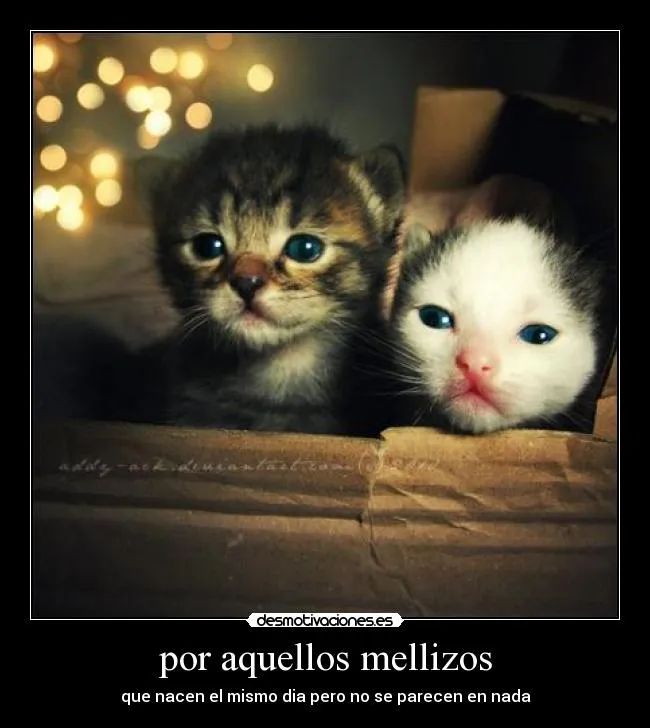 Carteles de Mellizos | Desmotivaciones