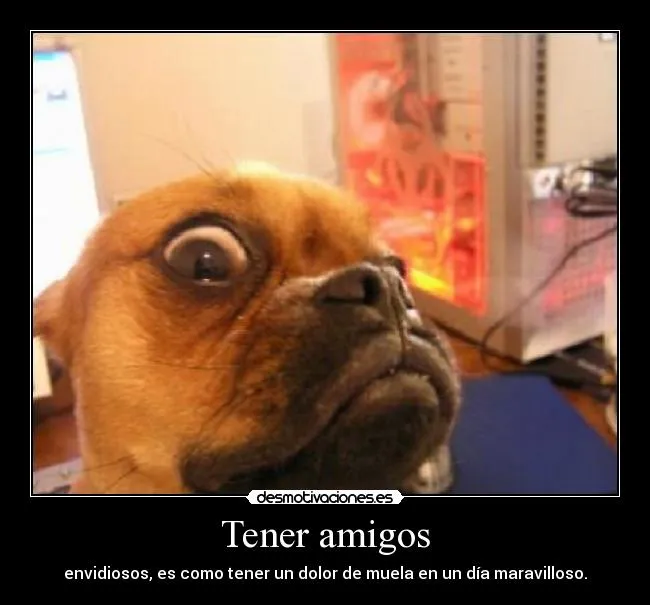 Carteles de Metiches | Desmotivaciones