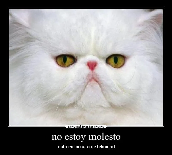 Carteles de Molesto Pag. 6 | Desmotivaciones Carteles de Molesto Pag. 6 | Desmotivaciones