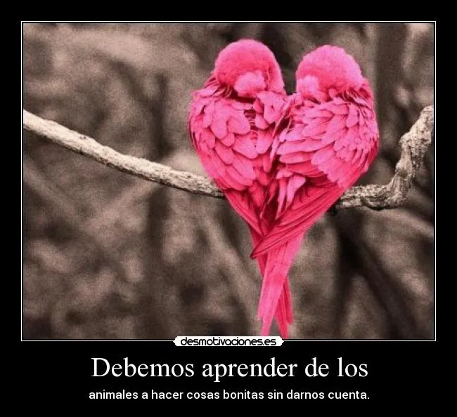 Carteles de Monas Pag. 12 | Desmotivaciones Carteles de Monas Pag. 12 | Desmotivaciones