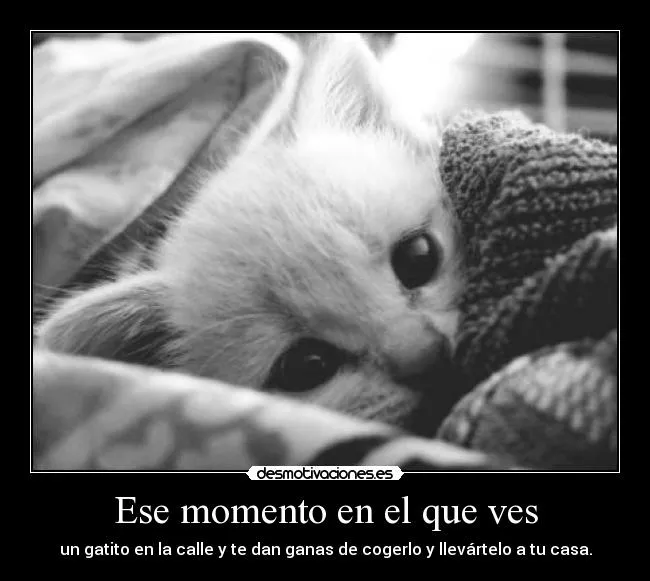 Carteles de Monas Pag. 6 | Desmotivaciones