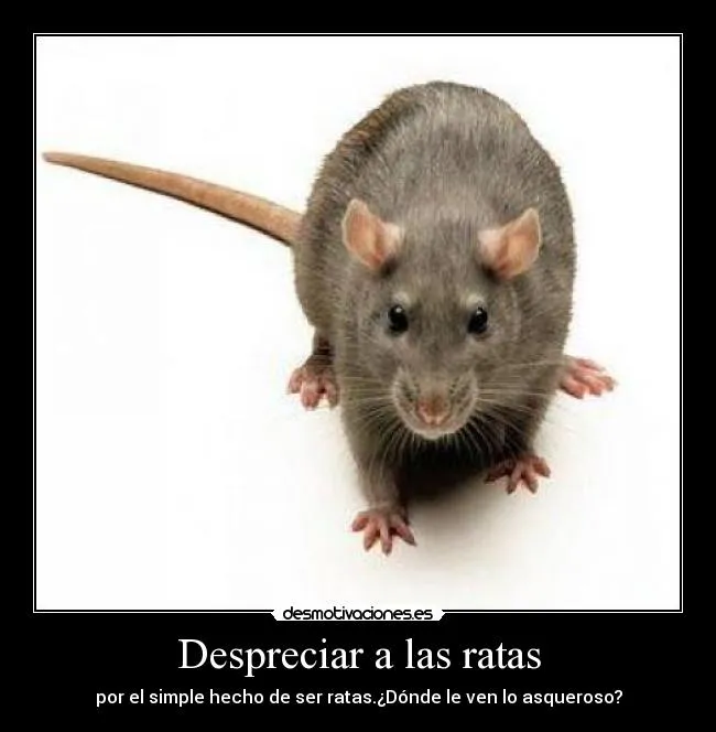 Carteles de Monisima | Desmotivaciones