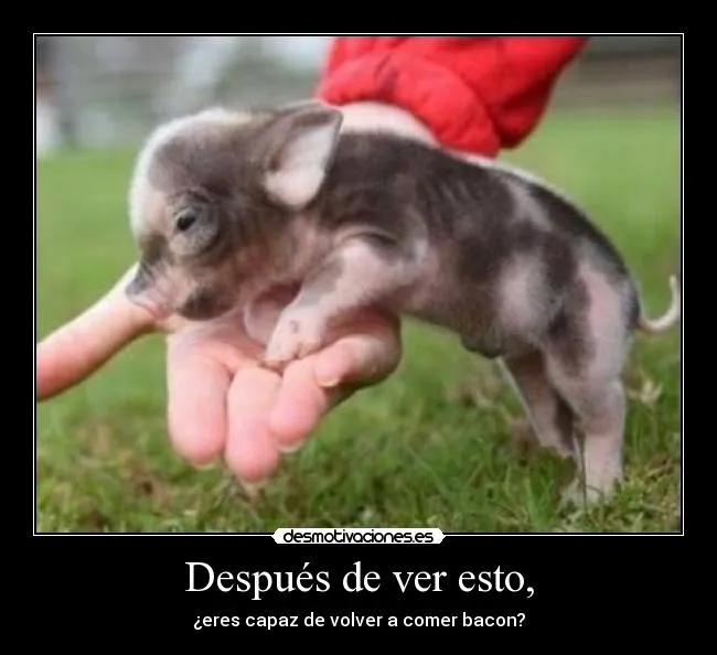 Carteles de Monisimo | Desmotivaciones