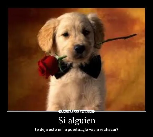 Carteles de Monisimo Pag. 2 | Desmotivaciones
