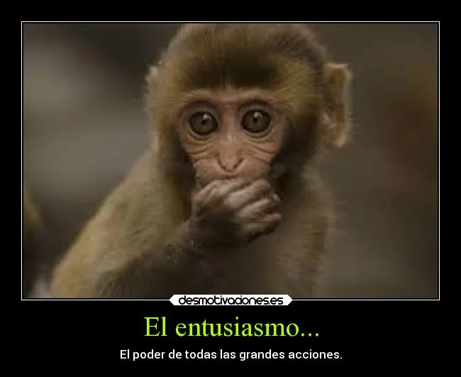 Carteles de Monito | Desmotivaciones