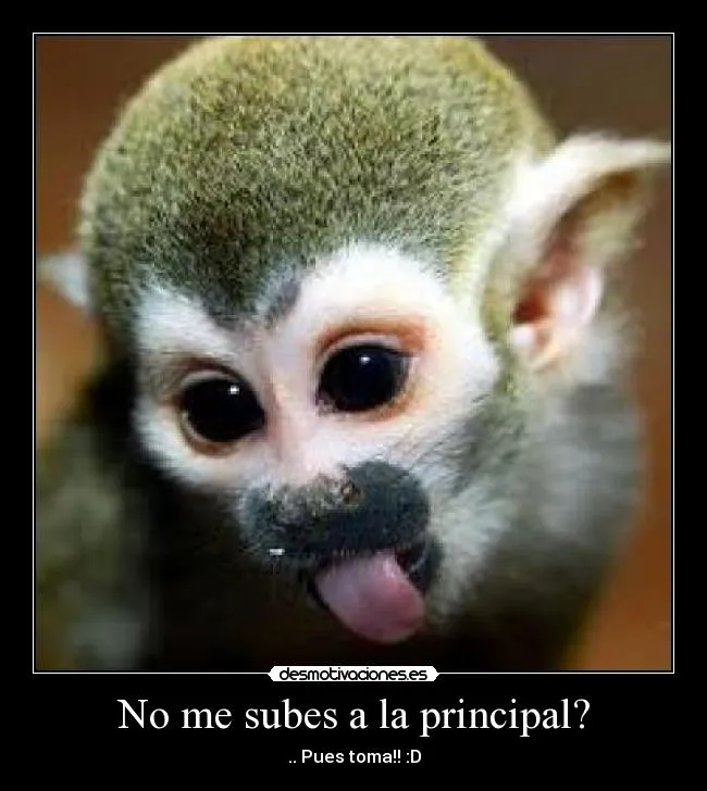 Carteles de Monito Pag. 8 | Desmotivaciones