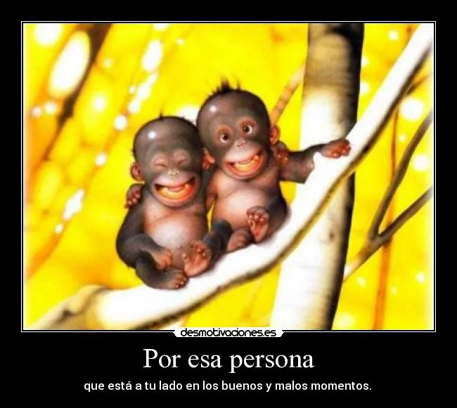 Carteles de Monitos | Desmotivaciones