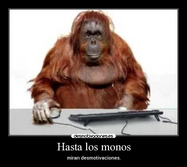 Carteles de Monos Pag. 115 | Desmotivaciones Carteles de Monos Pag. 115 | Desmotivaciones