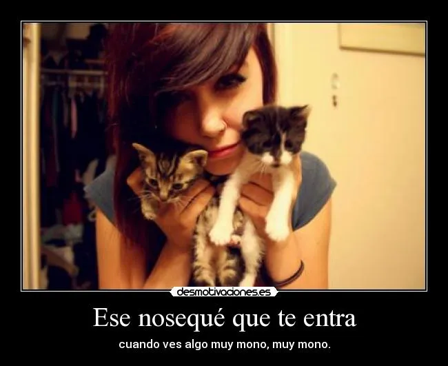 Carteles de Monos Pag. 14 | Desmotivaciones Carteles de Monos Pag. 14 | Desmotivaciones