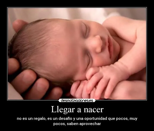 Carteles de Nacido Pag. 17 | Desmotivaciones