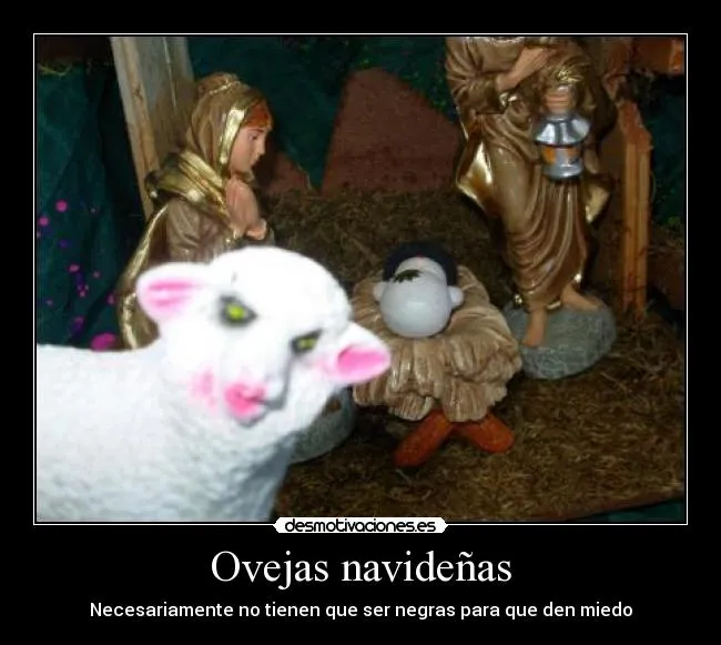 Carteles de Oveja Pag. 19 | Desmotivaciones