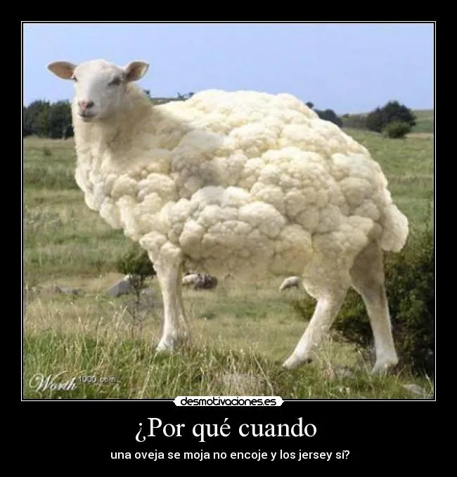 Carteles de Jersey Pag. 14 | Desmotivaciones