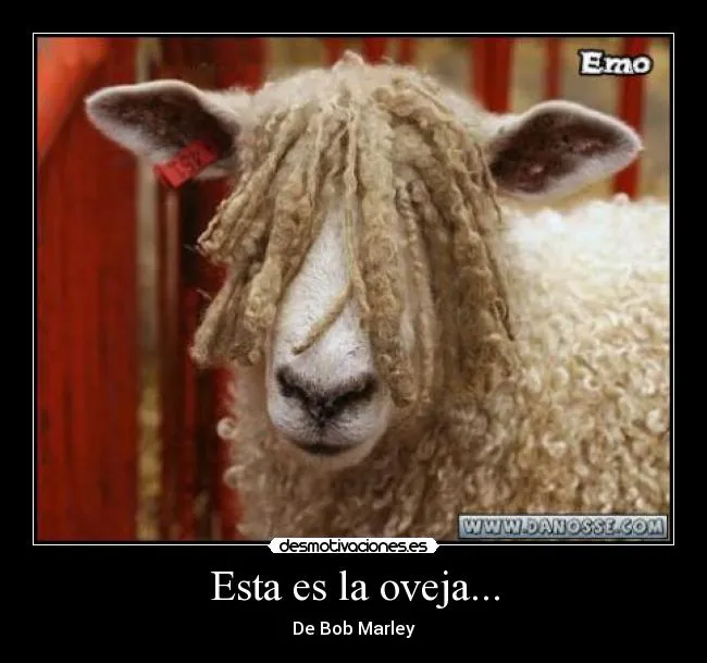 Esta es la oveja... | Desmotivaciones