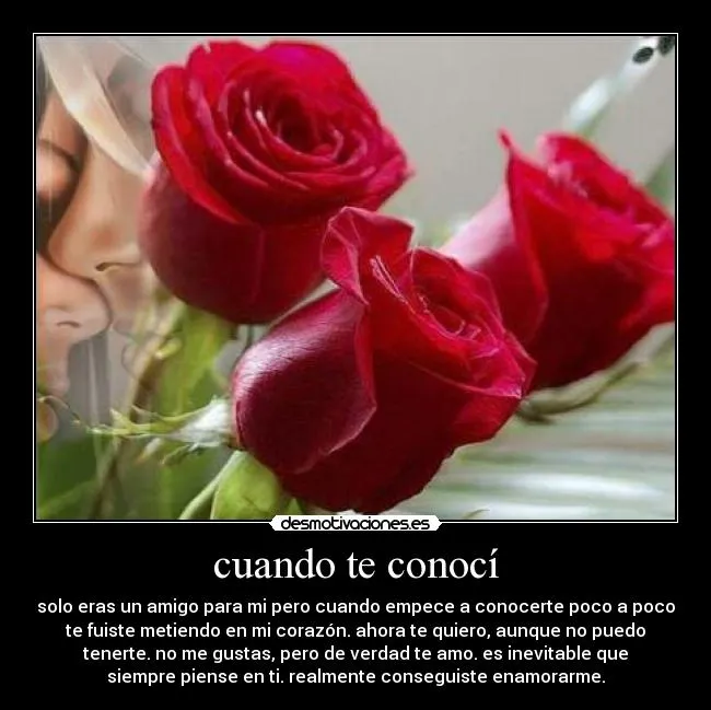 Carteles de Rosas Pag. 41 | Desmotivaciones