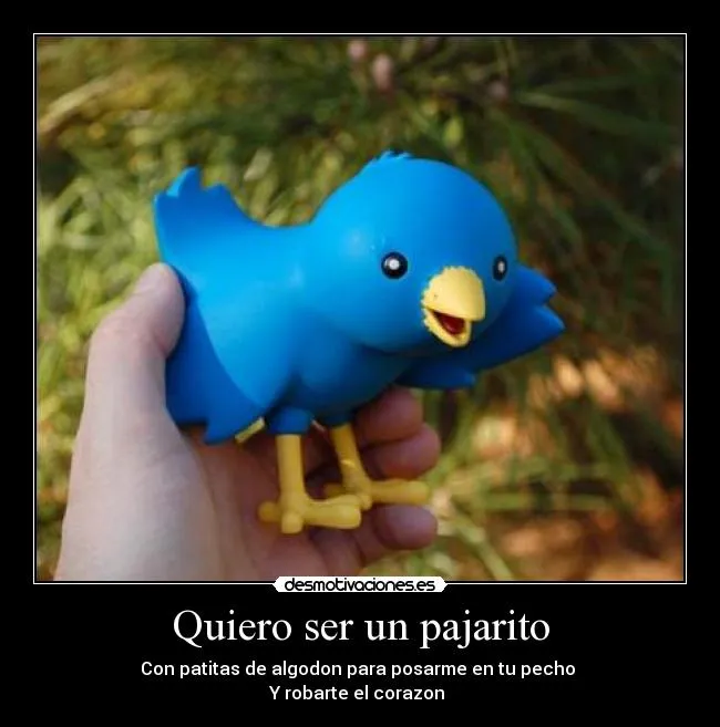 Carteles de Pajarito Pag. 8 | Desmotivaciones Carteles de Pajarito Pag. 8 | Desmotivaciones