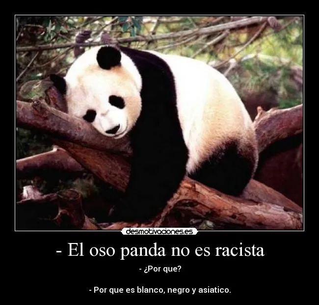 Carteles de Panda Pag. 24 | Desmotivaciones