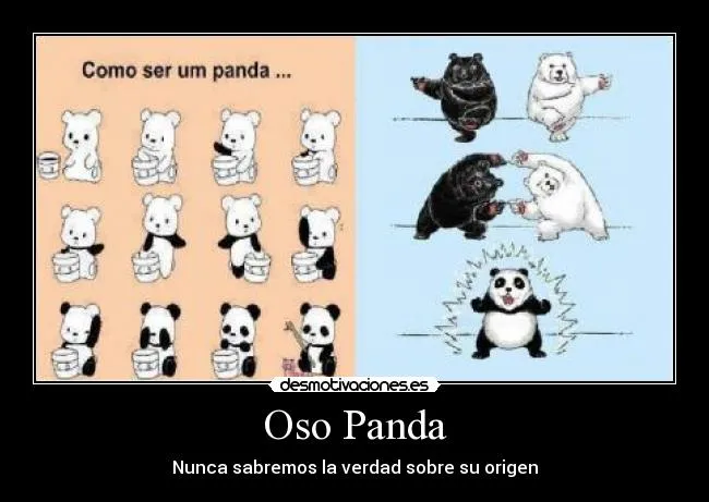 Carteles de Panda Pag. 48 | Desmotivaciones Carteles de Panda Pag. 48 | Desmotivaciones