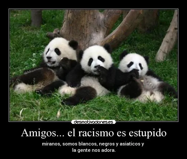 Carteles de Pandas Pag. 3 | Desmotivaciones