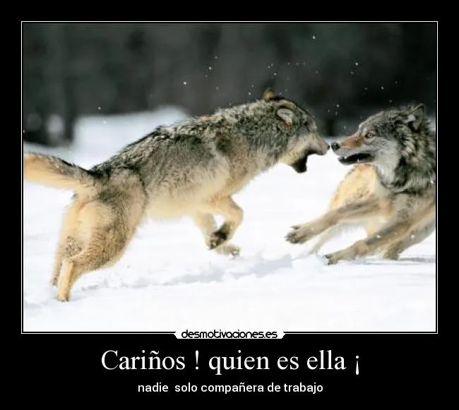 Carteles de Pareja Pag. 253 | Desmotivaciones Carteles de Pareja Pag. 253 | Desmotivaciones