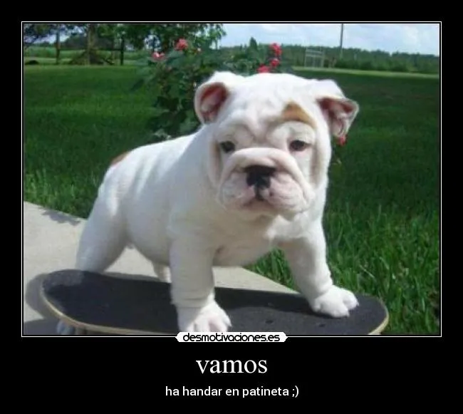 Carteles de Patineta Pag. 7 | Desmotivaciones Carteles de Patineta Pag. 7 | Desmotivaciones