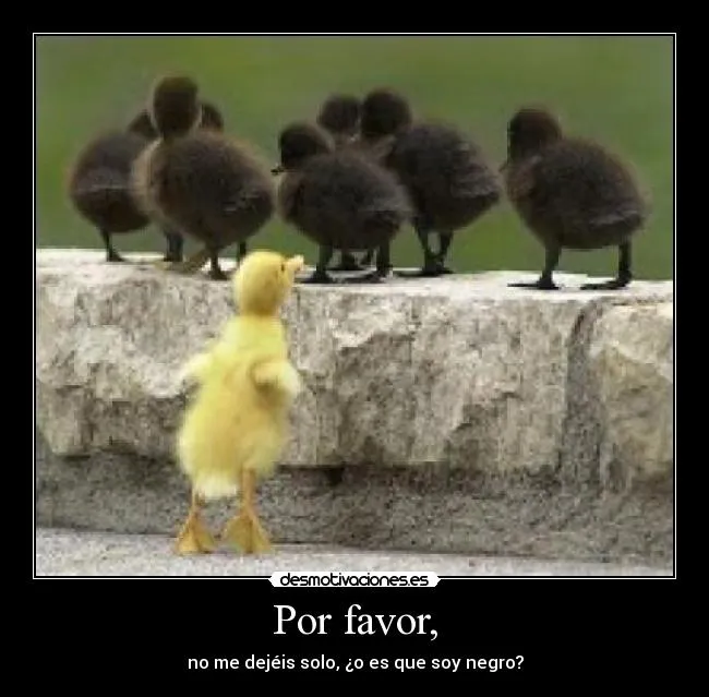 Carteles de Patitos | Desmotivaciones