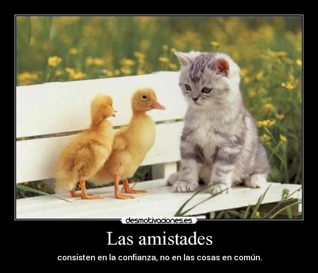 Carteles de Patitos Pag. 8 | Desmotivaciones Carteles de Patitos Pag. 8 | Desmotivaciones